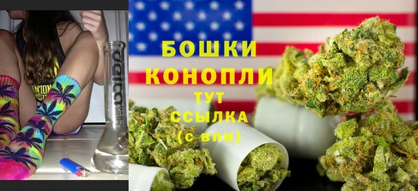 не бодяженный Новозыбков