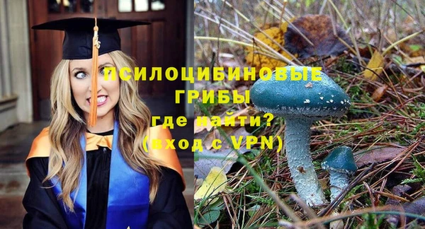 тгк Нефтекумск