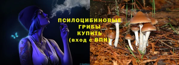 не бодяженный Новозыбков